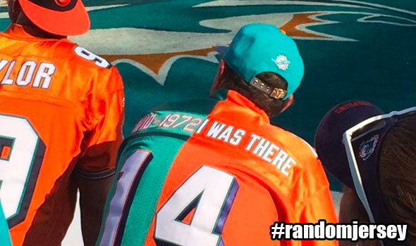 miami dolphins undefeated jersey