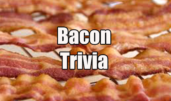 bacon-trivia