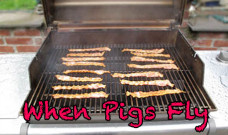 when-pigs-fly-grilling-bacon