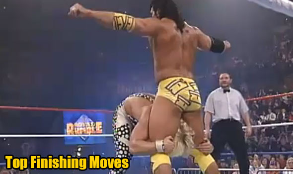 top-wwf-finishing-moves