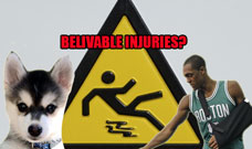 athlete-injuries-dog