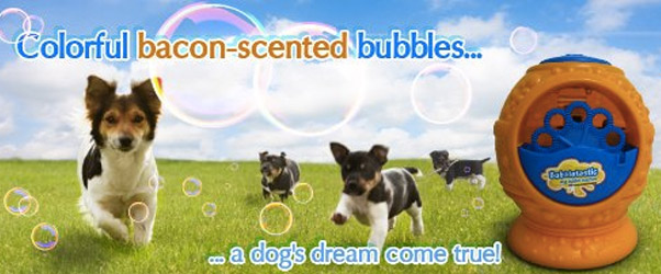 bacon-dog-bubbles