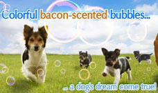 bacon-scented-bubbles